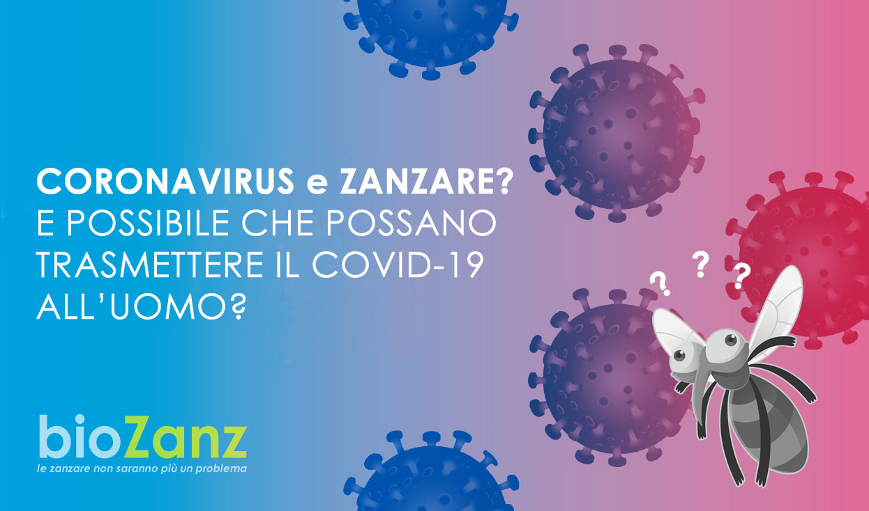 Le zanzare possono trasmettere il coronavirus?